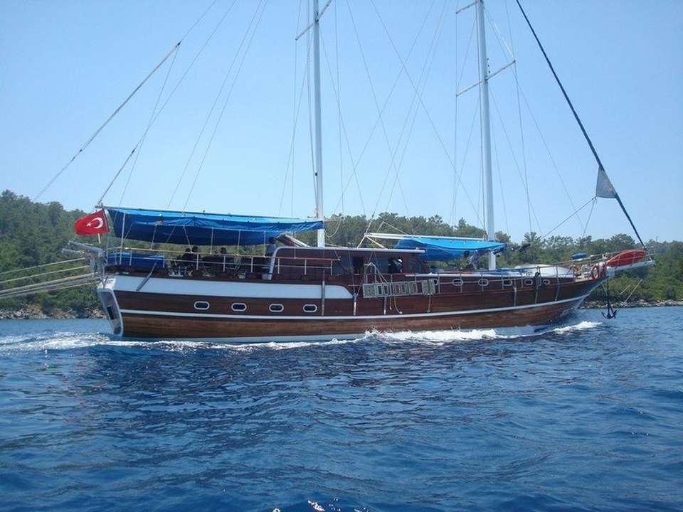 Gokce 1
