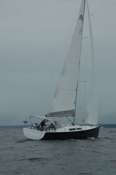 Hanse 445