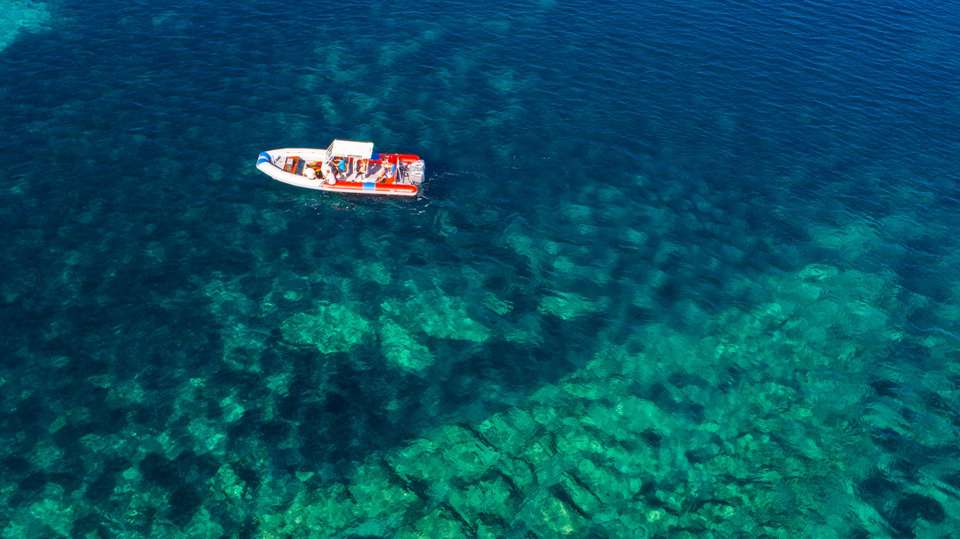 Highfield Patrol 860