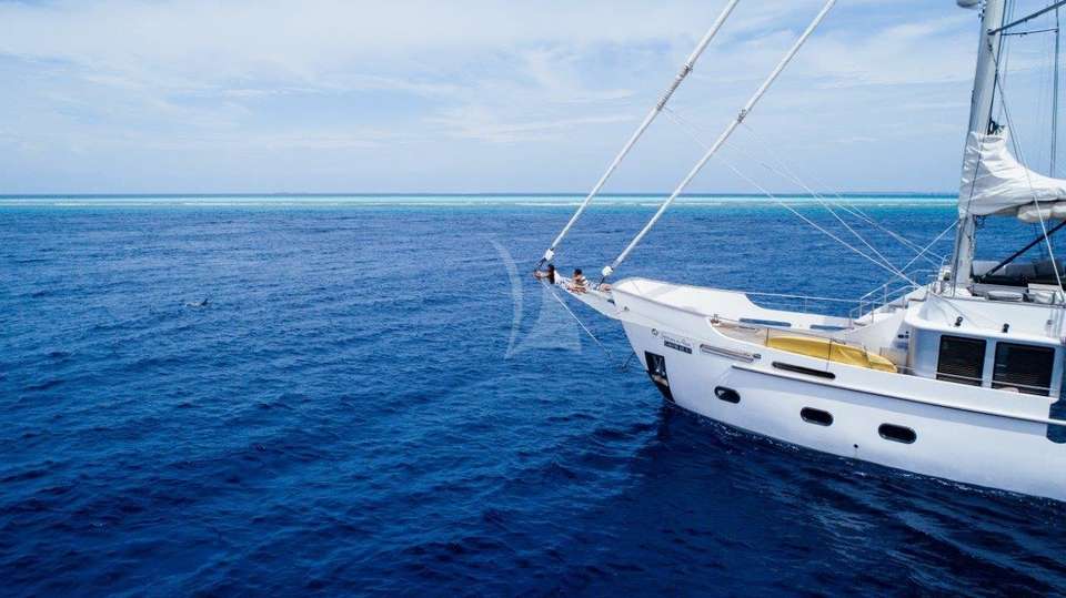 SONEVA IN AQUA