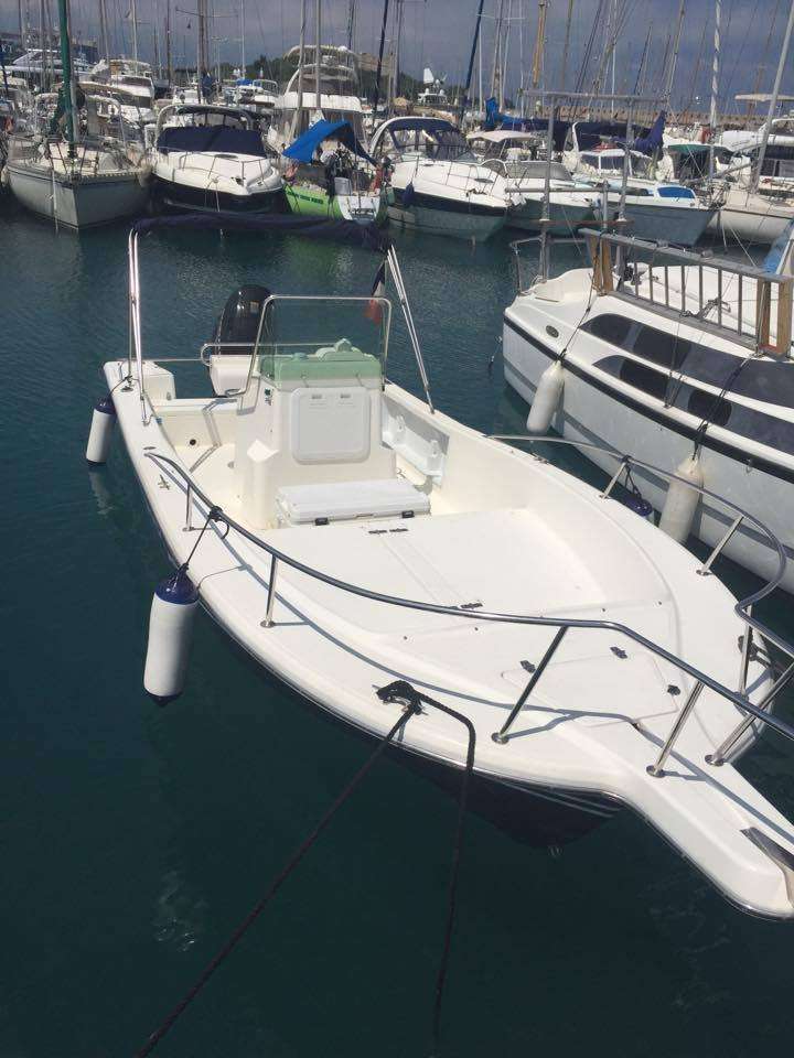 White Shark 215