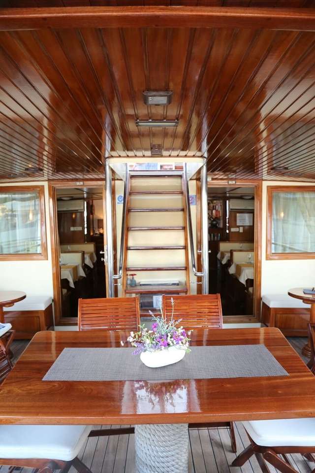 Embárcate en un crucero revitalizante