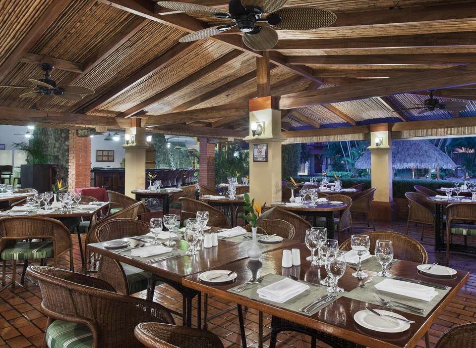 Dites bonjour aux capucins à tête blanche