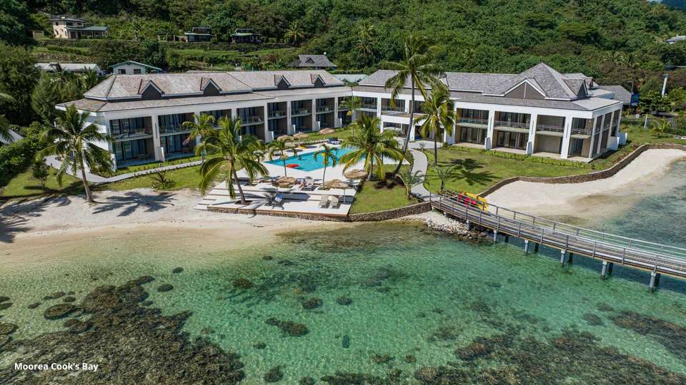 Partez à la rencontre des requins